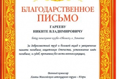 Грамота Гарееву Никите [DVD (NTSC)]